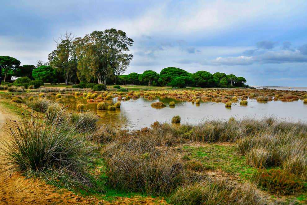 Donana nemzeti park - Andalusia