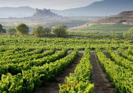 La Rioja