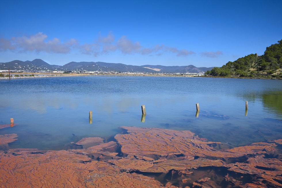 Las Salinas Ibiza