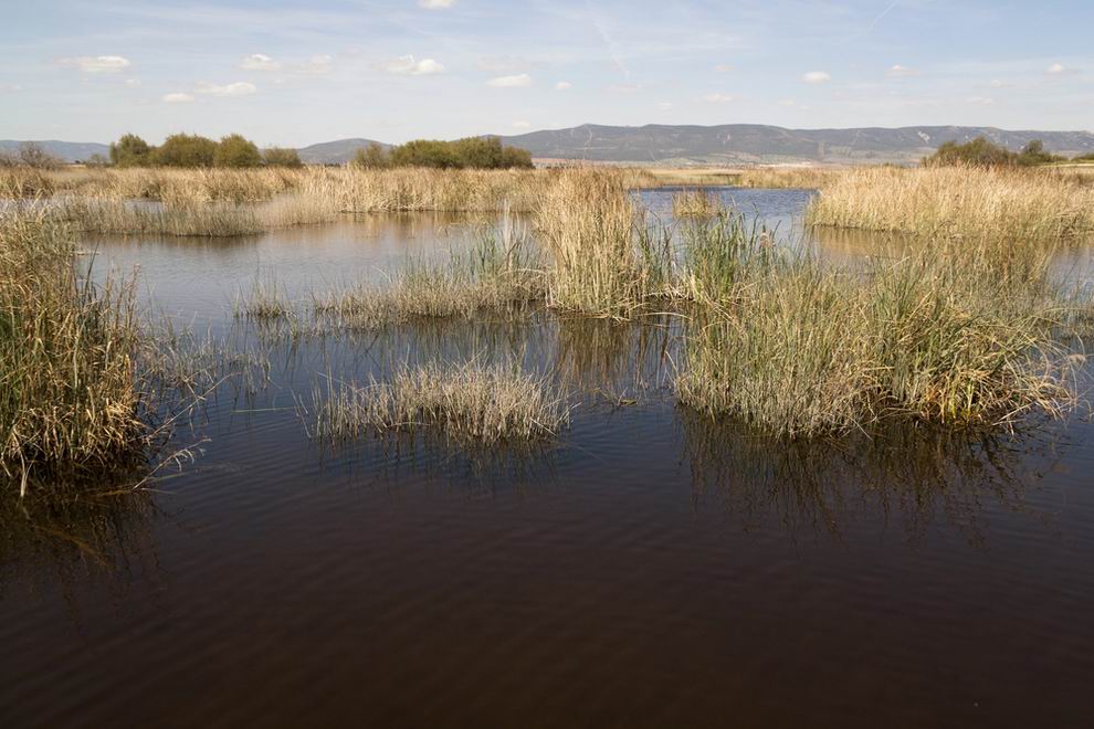 Las Tablas de Daimiel - La Mancha