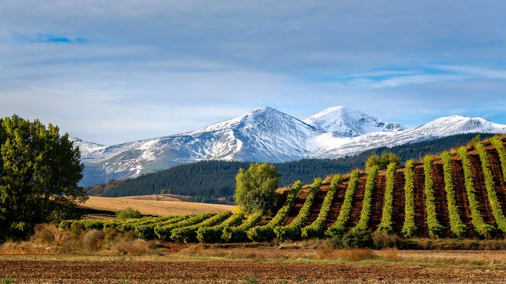 Rioja Alta