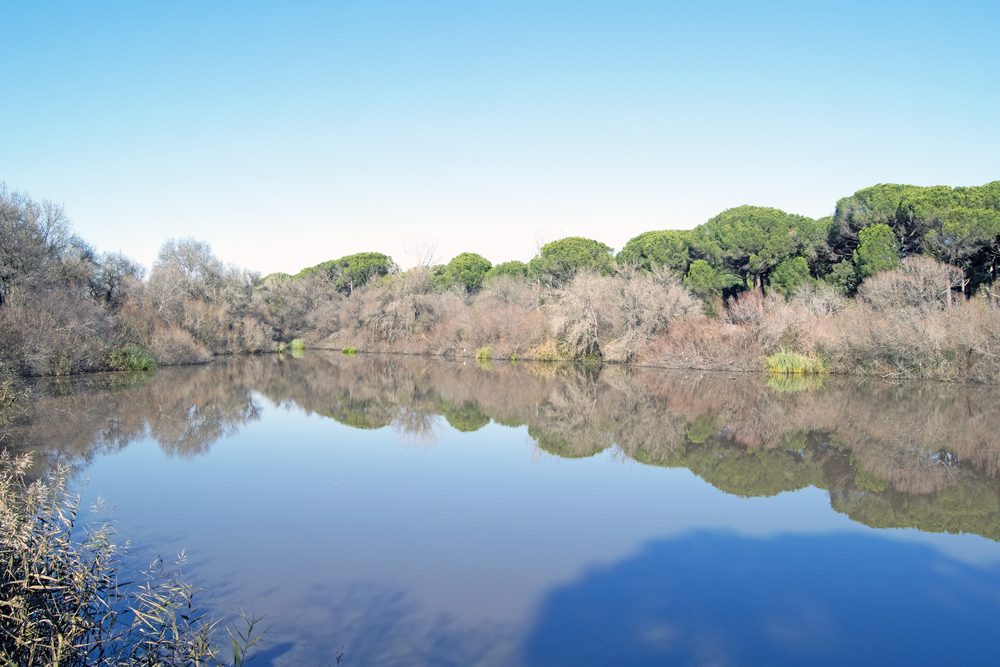 Doñana Nemzeti Park