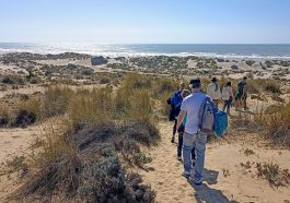 Doñana Nemzeti Park
