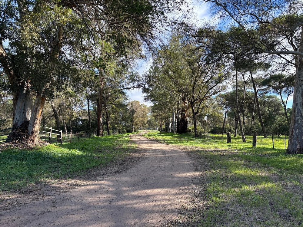 Doñana Nemzeti Park