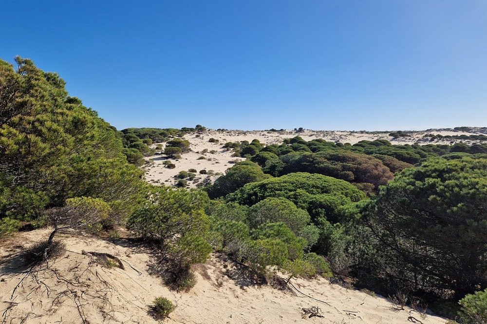 Doñana Nemzeti Park