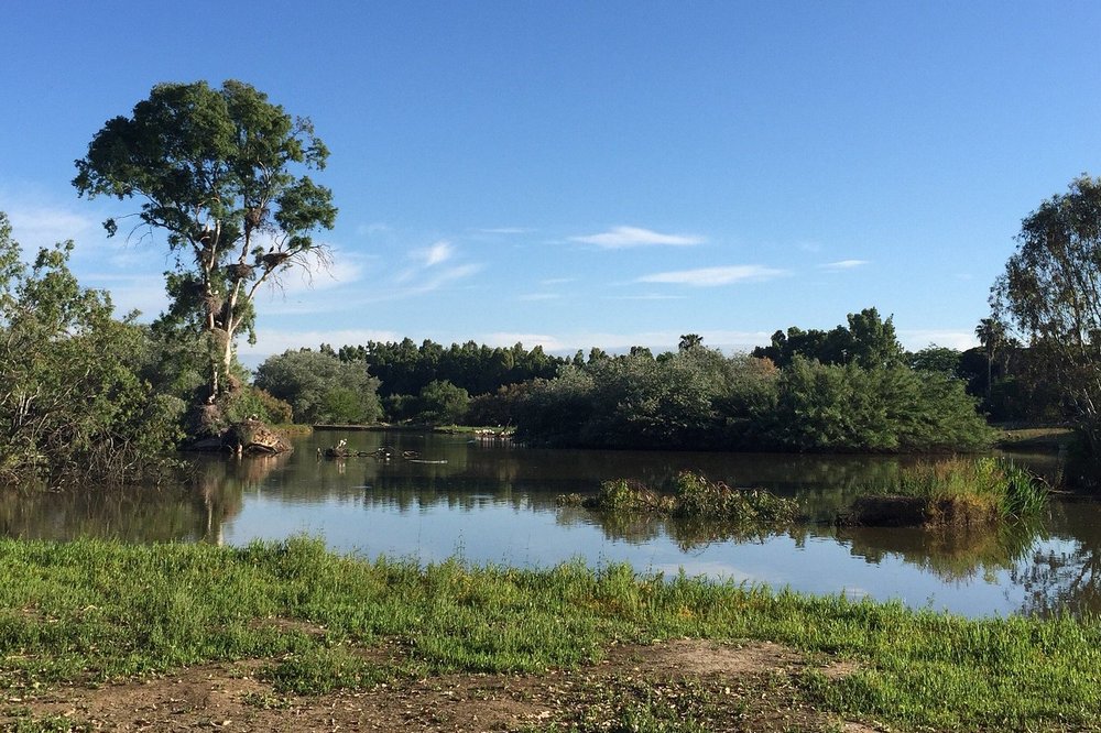 Doñana Nemzeti Park