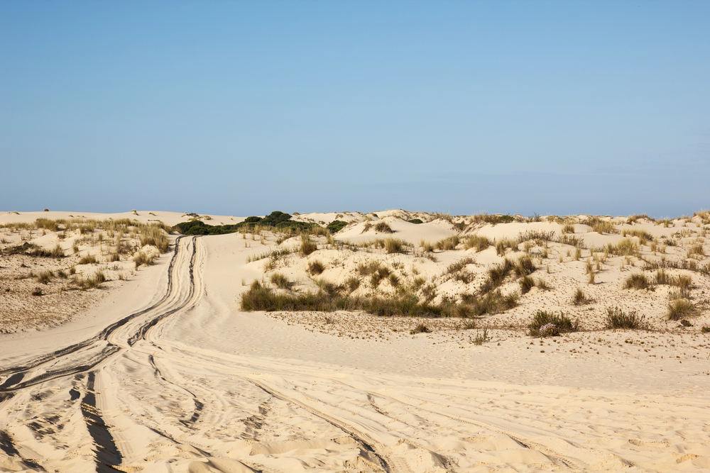 Doñana Nemzeti Park