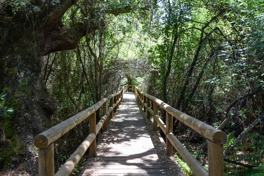 Doñana Nemzeti Park
