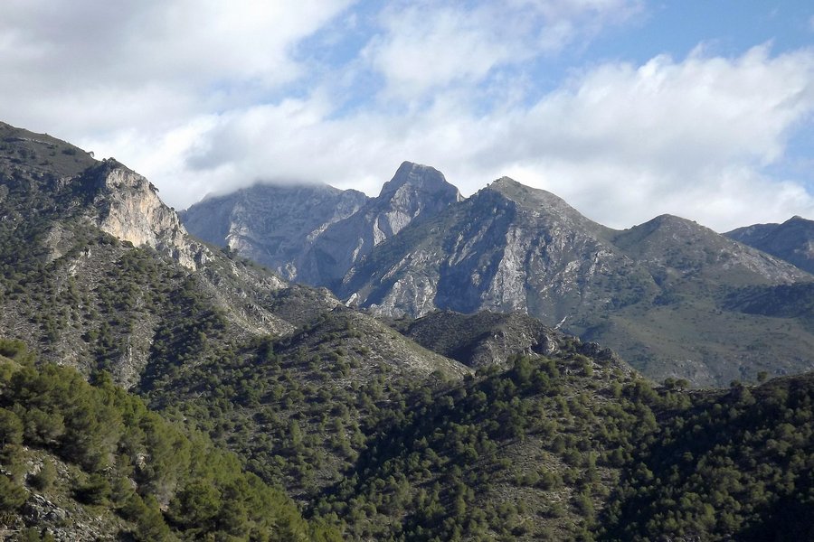 Frigiliana