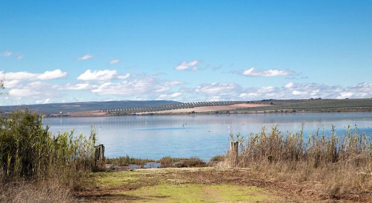 Laguna de Fuente de Piedra