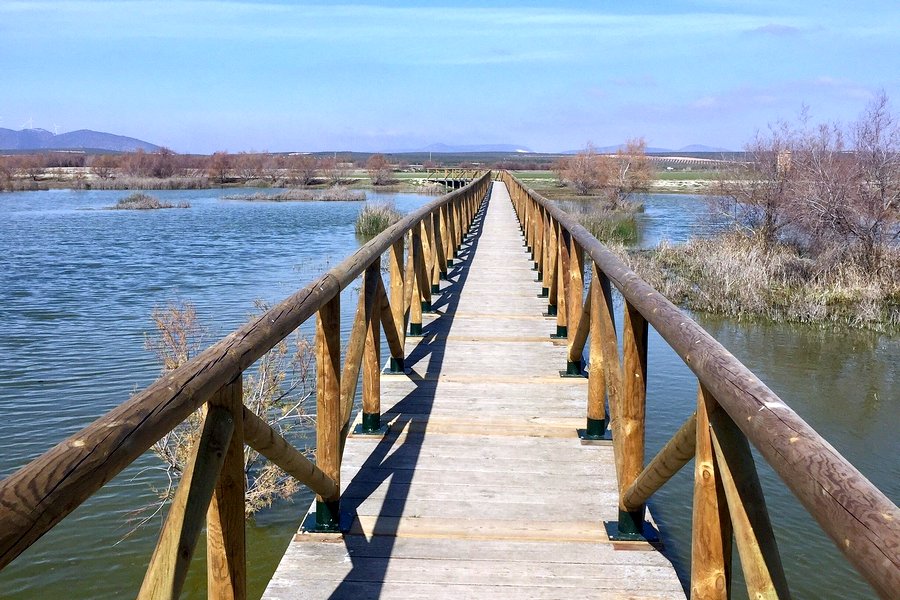 Laguna de Fuente de Piedra