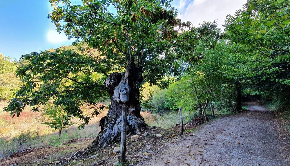 Las Médulas