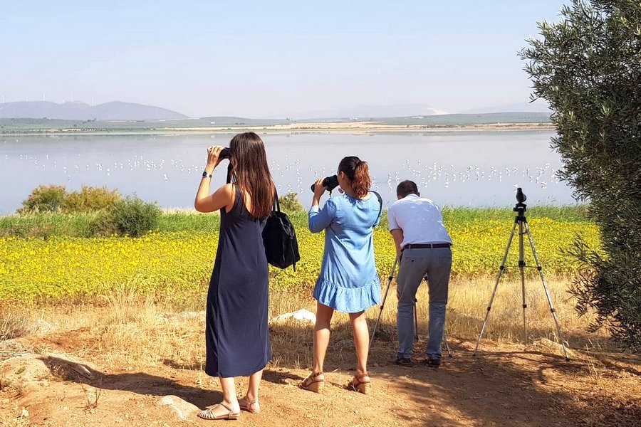 Laguna de Fuente de Piedra
