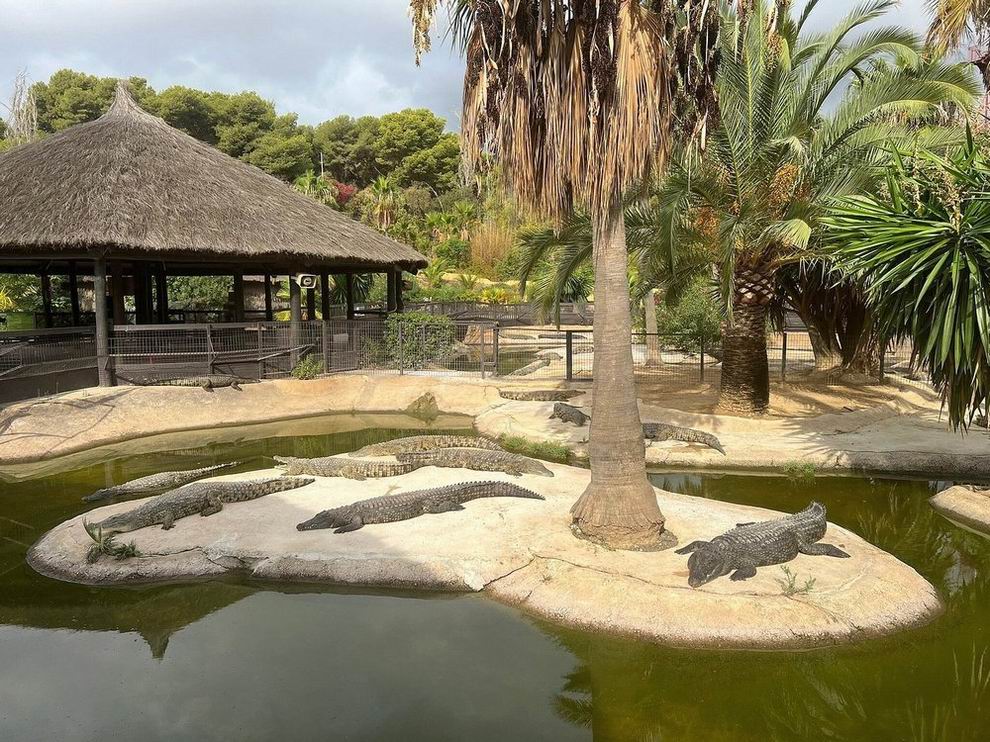 torremolinos Crocodile Park