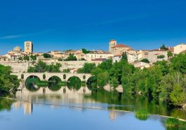 zamora