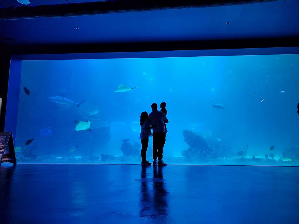 Madrid programok - Atlantis Aquarium Madrid
