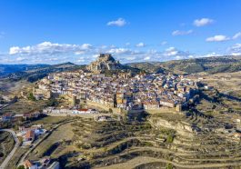 Morella