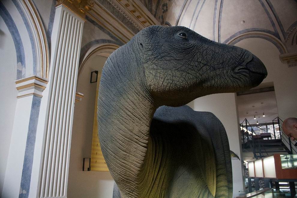 Museo Temps de Dinosaures