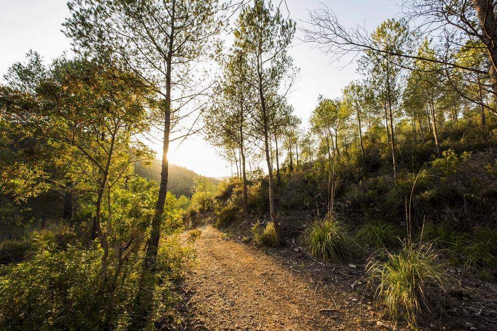 Garraf Park